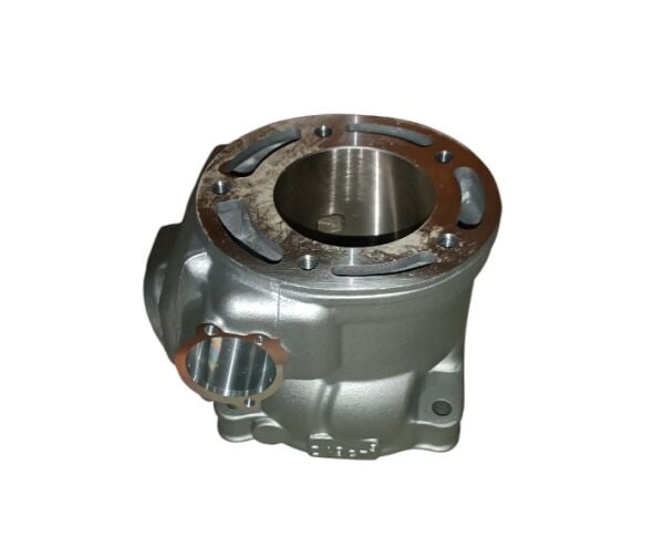 Yuki Dırtypaws 250 2T Silindir 250cc