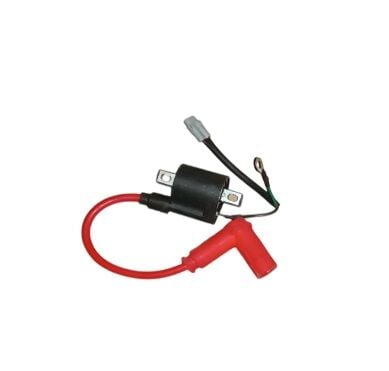 Yuki Dırtypaws 250 2T Ateşleme Bobini