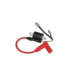 Yuki Dırtypaws 250 2T Ateşleme Bobini