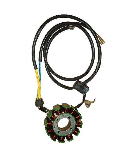 Yuki Driver 125 Statör Sargı